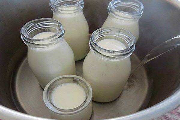 Cách làm sữa chua Hy Lạp