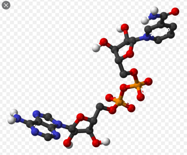 Hình ảnh phân tử NAD