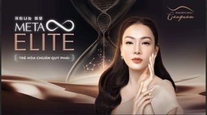 Dịch vụ Meta Elite là gì?