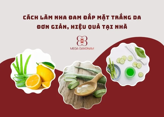 Cách làm nha đam đắp mặt trắng da đơn giản, hiệu quả tại nhà