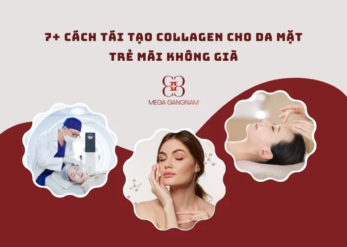 7+ cách tái tạo collagen cho da mặt trẻ mãi không già