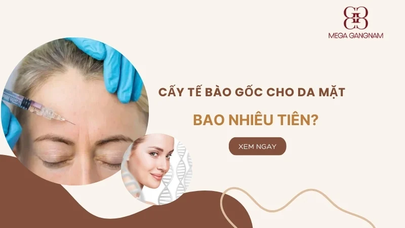 Cấy tế bào gốc cho da mặt bao nhiêu tiền