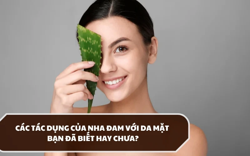 Tác dụng của nha đam với da mặt là như thế nào? Dùng sao để có hiệu quả tốt? 