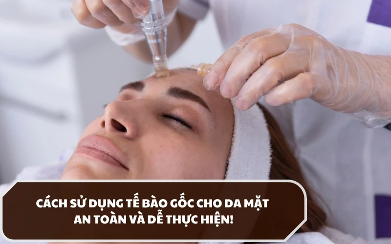 Giải đáp cách sử dụng tế bào gốc cho da mặt như thế nào hiệu quả nhất? 